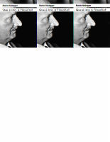 Que_é_isto_A_Filosofia_Martin_Heidegger_Martin_Hei.pdf